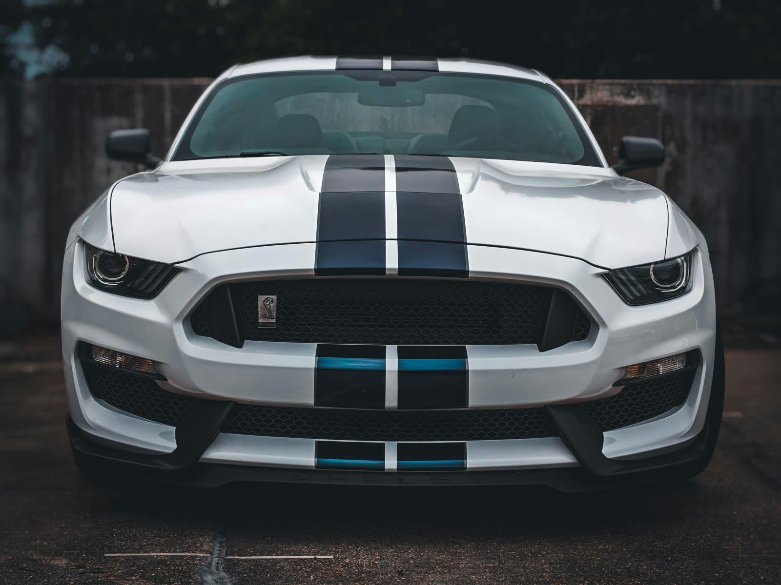 White Shelby GT350 with Grabber-blue stripes, front-on low-angle shot.